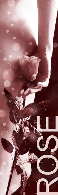 Status Rose - Honorarübersicht Caprice Escort Schweiz