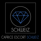 Escort Schweiz Banner 140x140 px