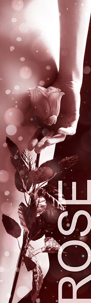 Honorar Status Rose - Escort Service Schweiz